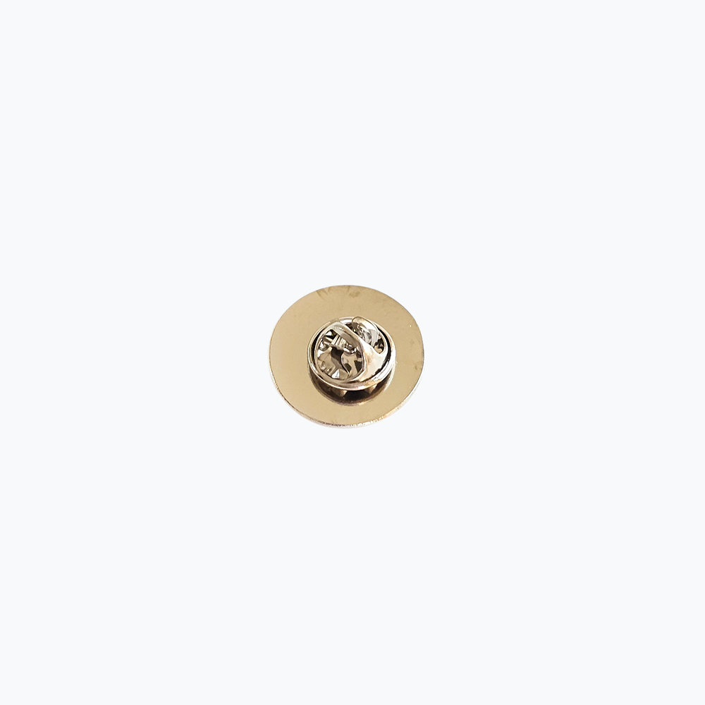 HOS HSP Za Dom Spremni Pin