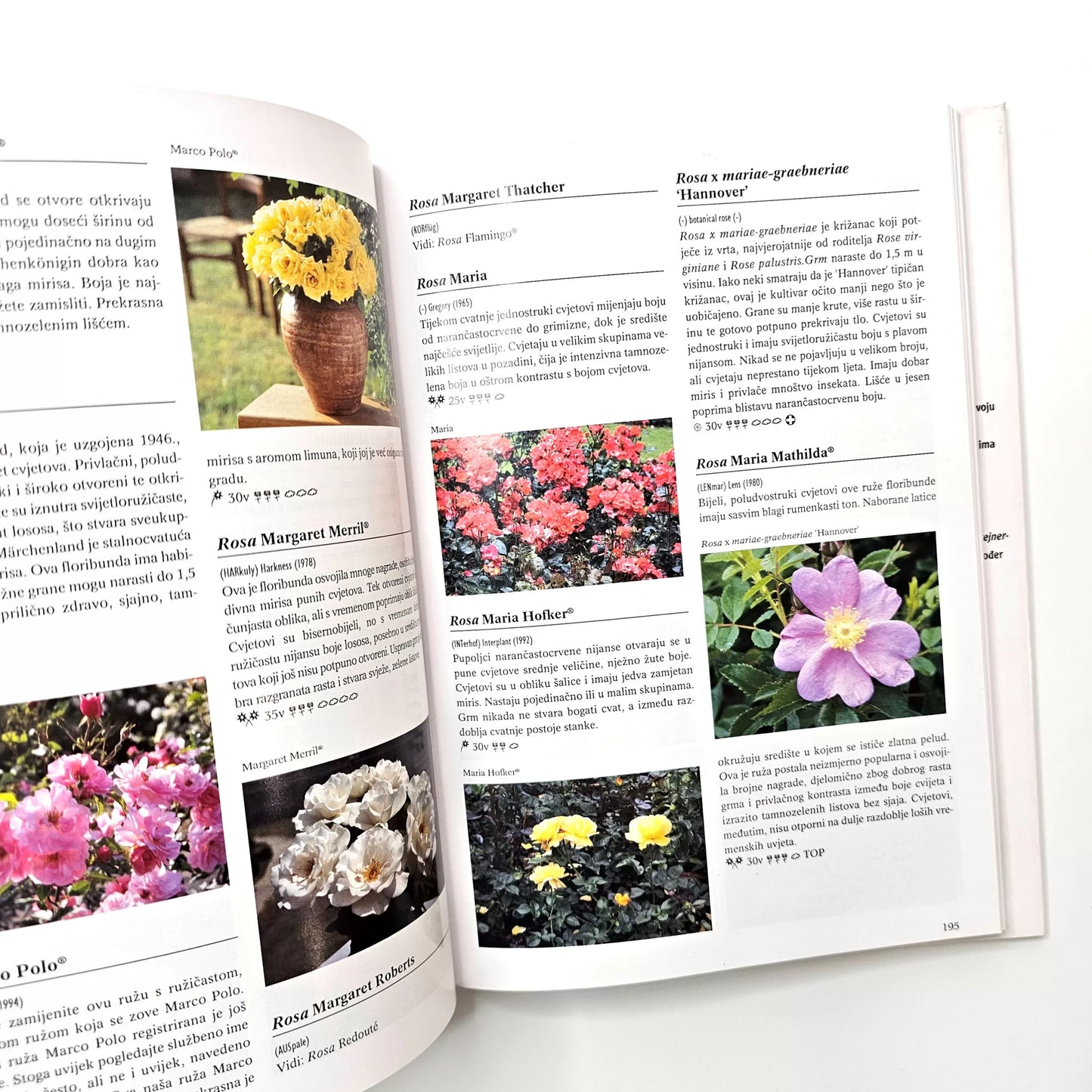 Ruže – Enciklopedija | Croatian Rose Encyclopedia Open book with pages about flowers on a white background