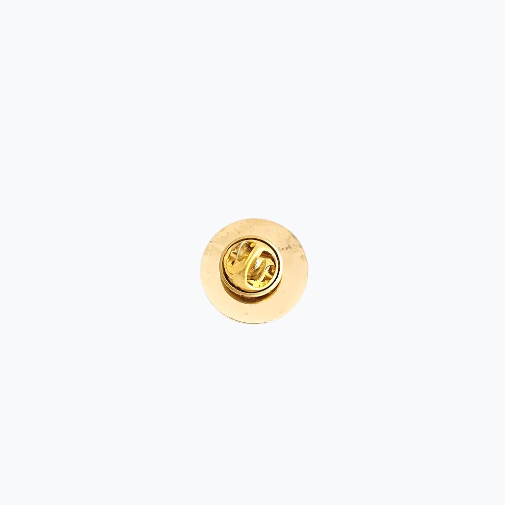 Stara Hrvatska Ancient Croatia Pin