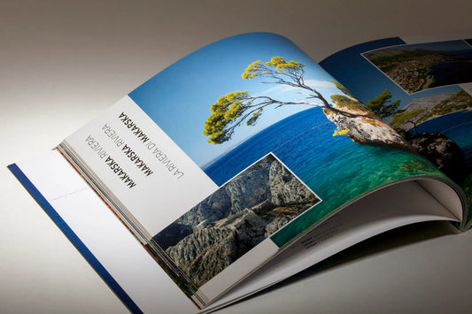Dalmatia – Dalmatien – Dalmazia Open book displaying images of a tree and landscape