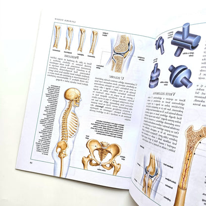 Dječje Ilustrirane Enciklopedije – Ljudsko Tijelo Open book showing detailed illustrations of bones and medical equipment on a white background