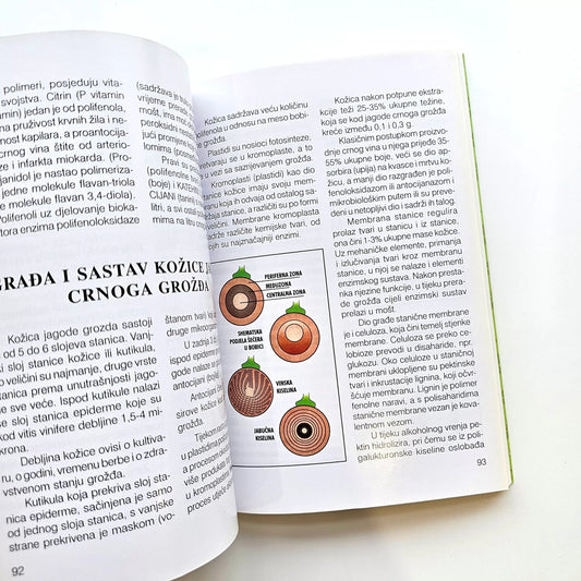 Domaće Vino - Bijelo, Ružičasto, Crno Open book with text and illustrations on a white background