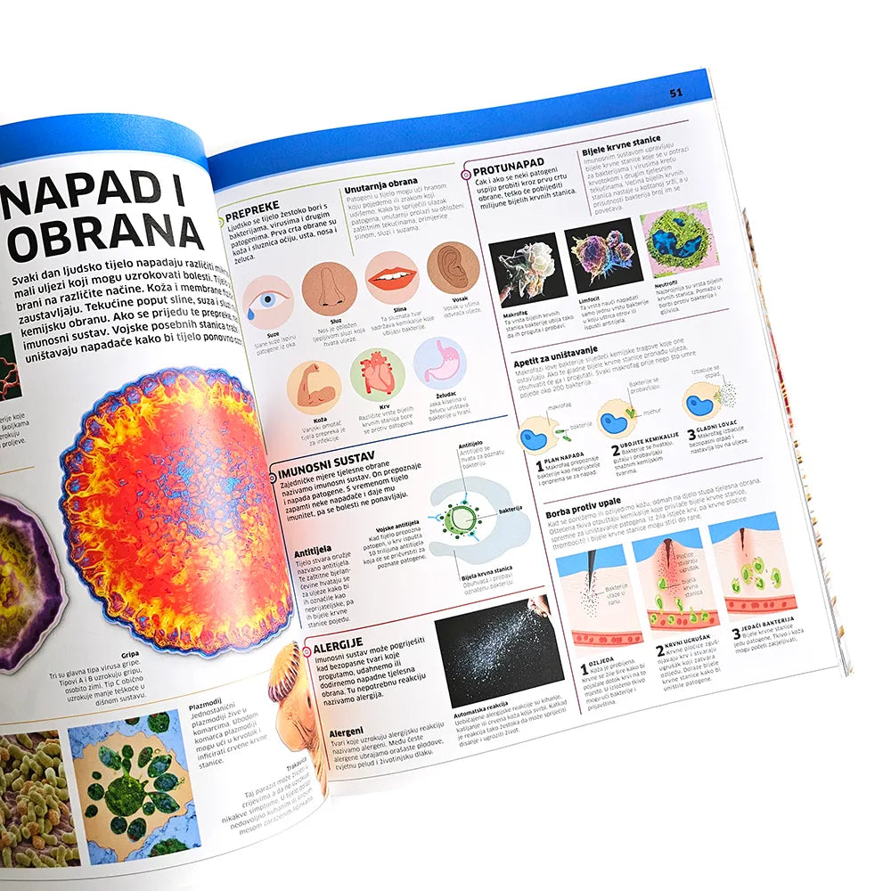 Enciklopedija Znanja: Ljudsko tijelo Open book with educational content on a white background