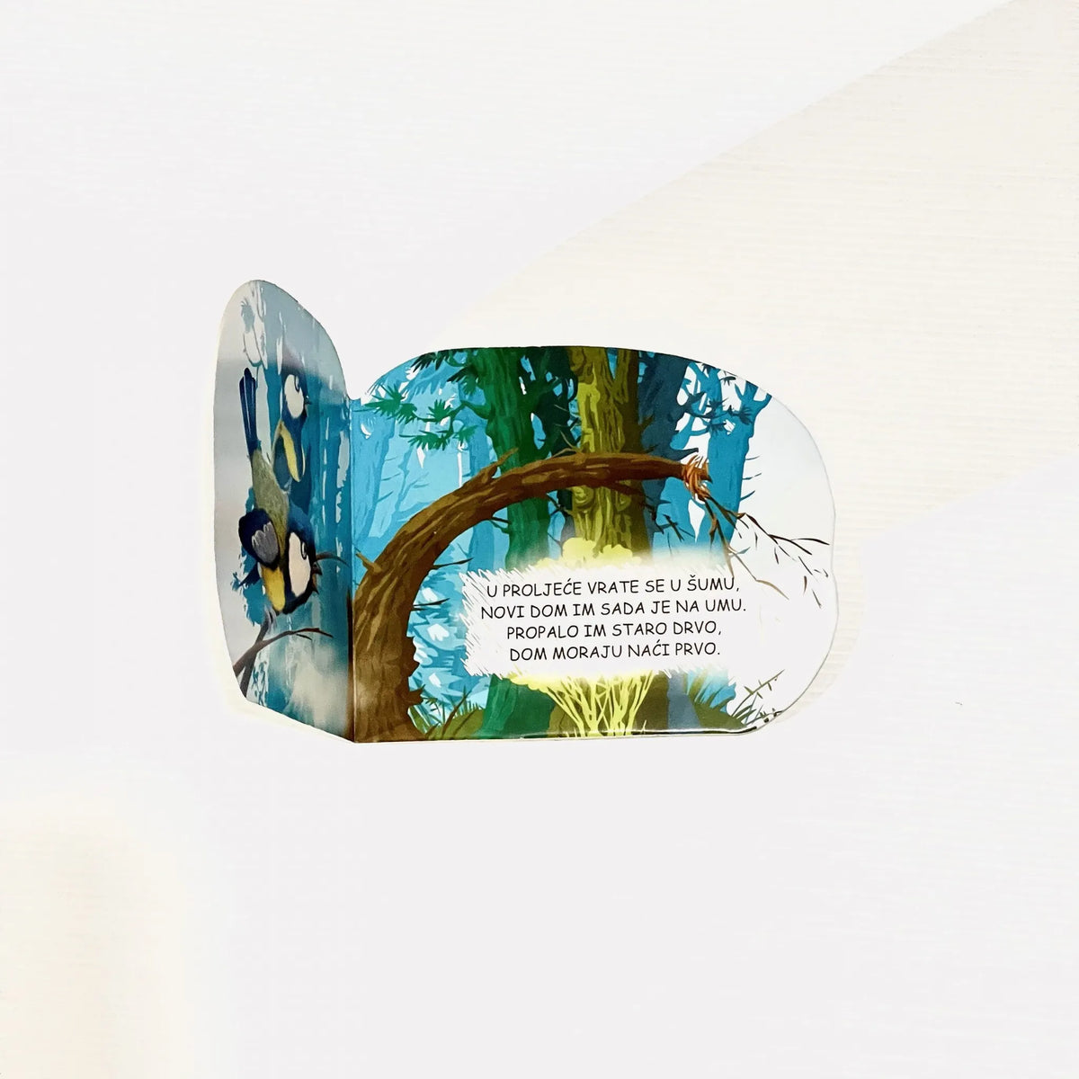 Male Šumske Životinje (Set of 6) Children's book with a colorful illustration of a forest scene on a white background