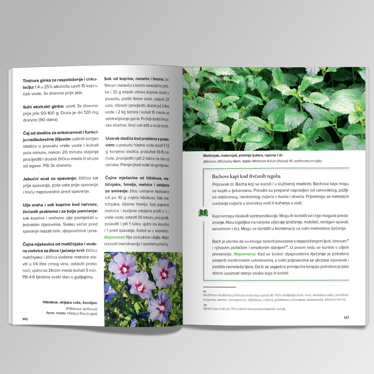 PRIRODA LIJEČI – Ljekovito Bilje i Med za Vaše Zdravlje Open book with pages showing text and images of plants and flowers on a gray background