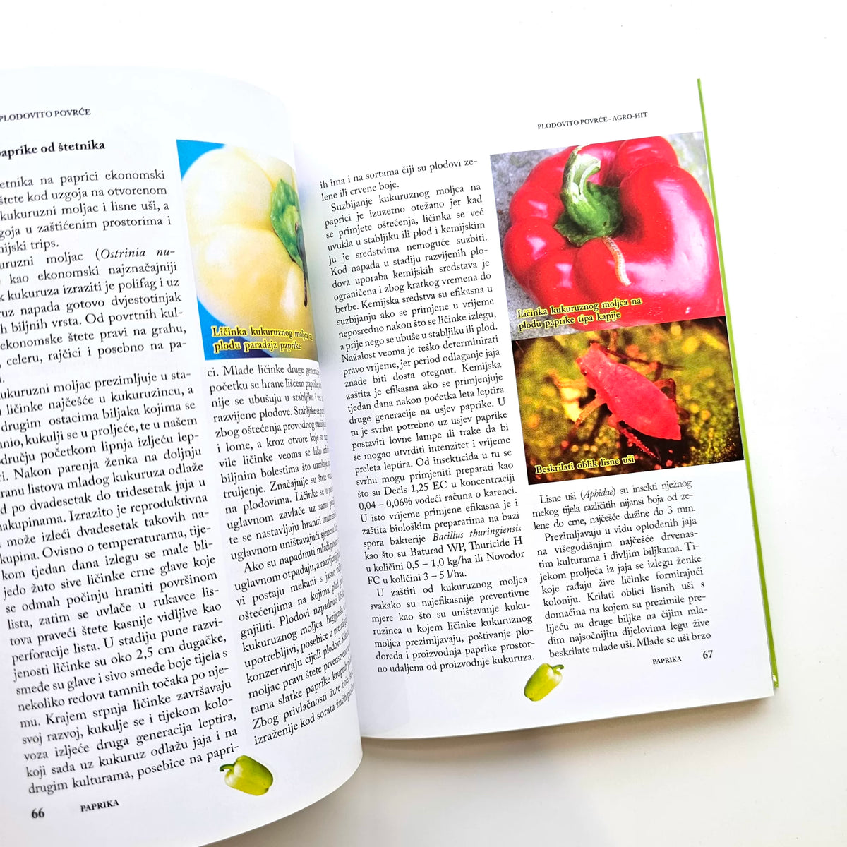 Plodovito Povrće I Open book with images of peppers on a white background