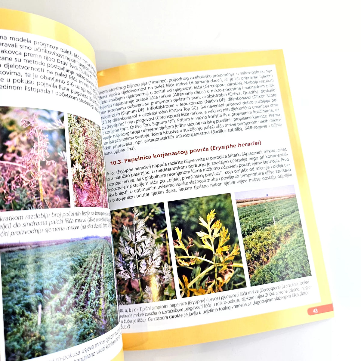 Proizvodnja Korjenastog Povrća : Kako Do Vrhunskog Povrća Open book with botanical illustrations and text on a white background