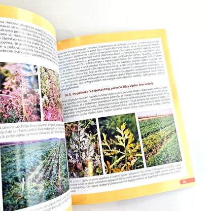 Proizvodnja Korjenastog Povrća : Kako Do Vrhunskog Povrća Open book with botanical illustrations and text on a white background