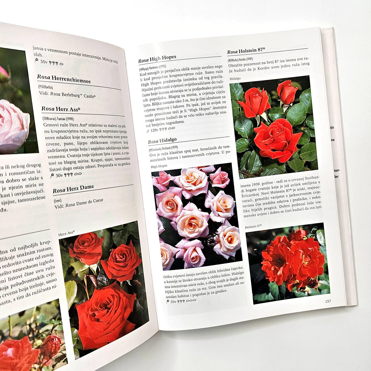 Ruže – Enciklopedija | Croatian Rose Encyclopedia Open book with pages showing images of roses and text.