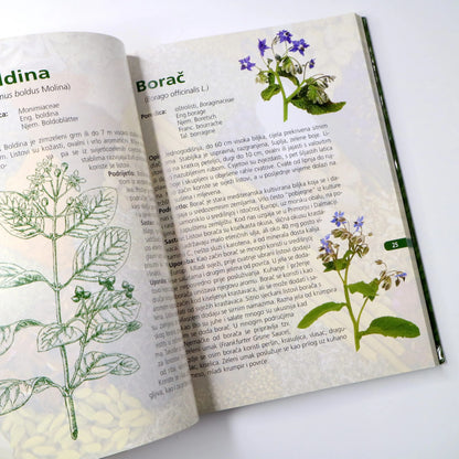Začini i Aromatično Bilje Open book with illustrations and text on plants on a white background